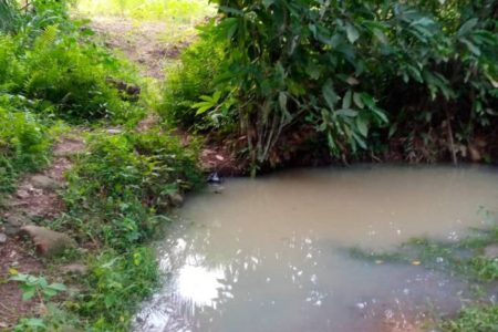 Two year-old girl found dead in stagnant water